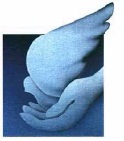 Logo Ente
